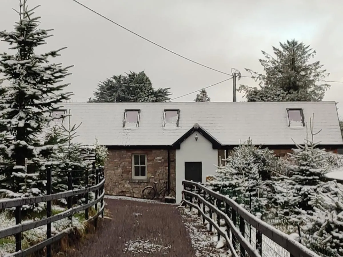 Villa The Old House At Belfield Tralee Irland